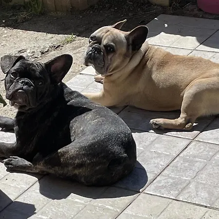 Séjour chez l'habitant La Vignalié 2