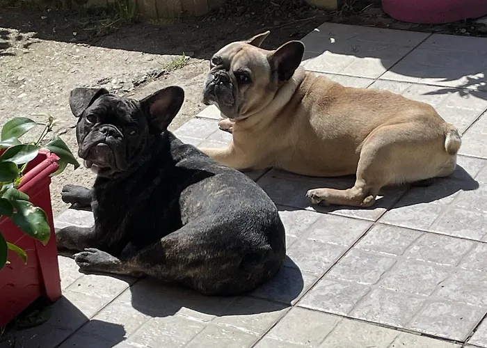 Ubytování v soukromí La Vignalie 2